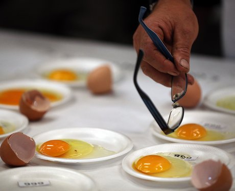Weird And Wonderful Pictures Of The Week
