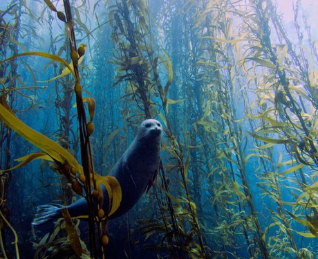 Weird And Wonderful Pictures Of The Week