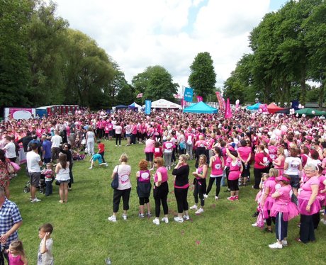 The Pink Ladies - Windsor Race for Life 2/06/2013