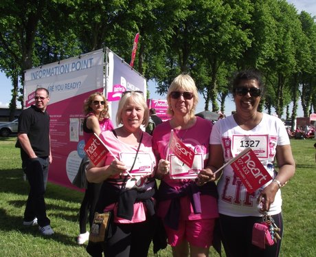 The Pink Ladies - Windsor Race for Life 2/06/2013