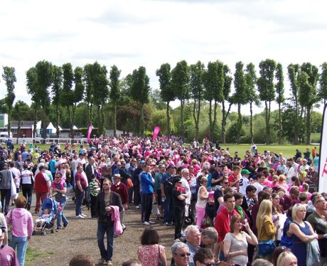 The Pink Ladies - Windsor Race for Life 2/06/2013