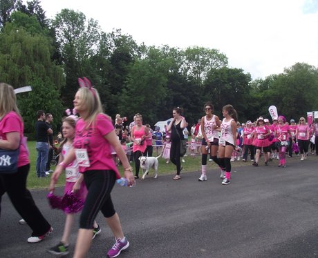 The Pink Ladies - Windsor Race for Life 2/06/2013