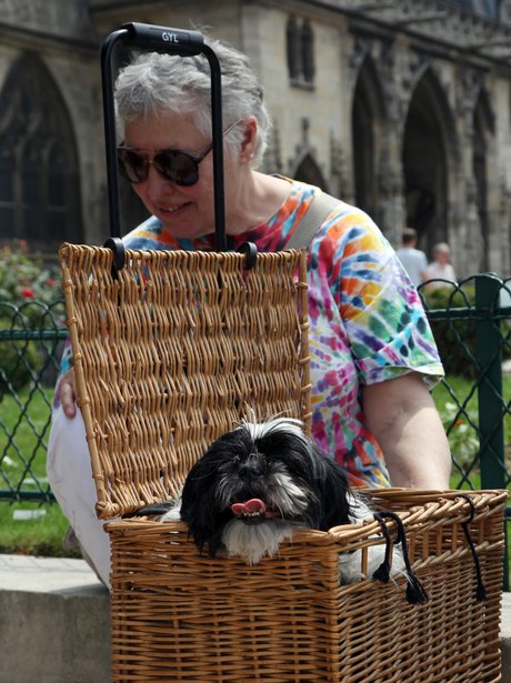 Cutest pictures of the week