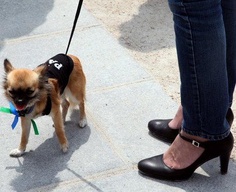 Cutest pictures of the week