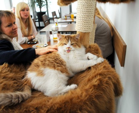 Cutest pictures of the week