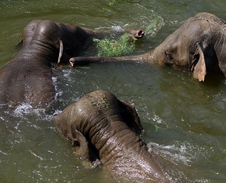 Cutest pictures of the week