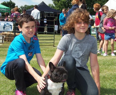Hartpury Summer Fair