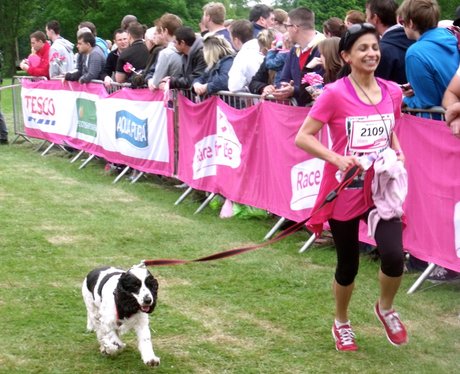 Race Pics From Welwyn & Hatfield Race For Life