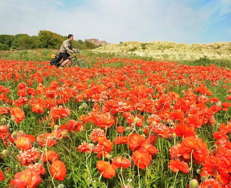 Weird And Wonderful Pictures Of The Week