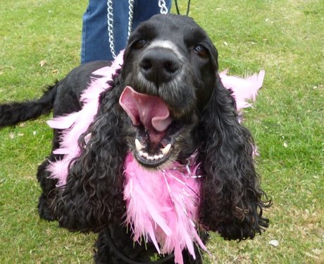 Folkestone Race For Life - Medals