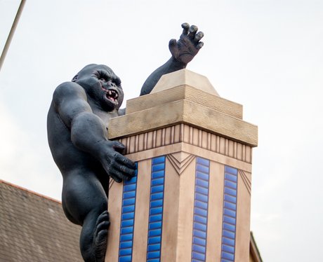 GoGo Gorillas Launch Event Norwich King Kong