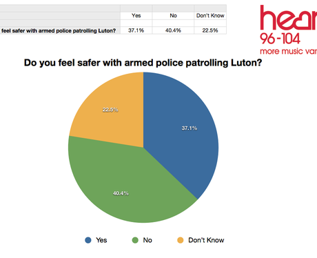 Luton Survey