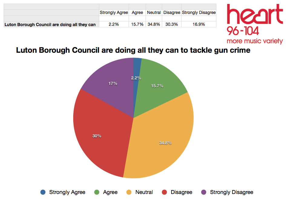 Luton Survey