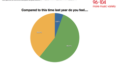 Luton Survey