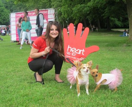 Did you wear a tutu, bunny ears or fairy wings, fi