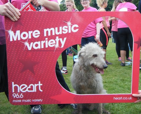 Race for Life Watford - Perfect Pooches