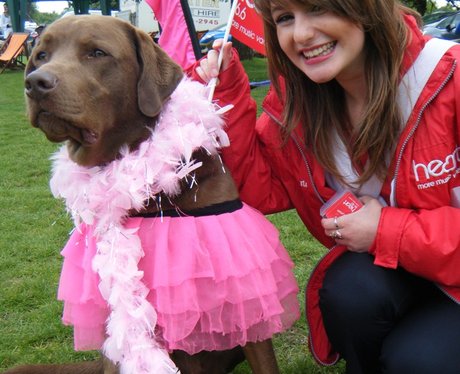 Race for Life Watford - Perfect Pooches