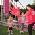 Image 3: Wolverhampton Race for Life general pictures 