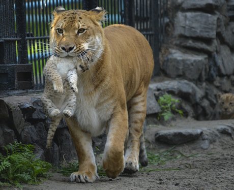 Cute Pictures Of The Week