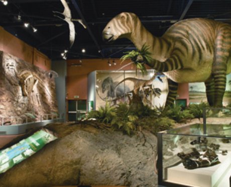 Dinosaur Isle
