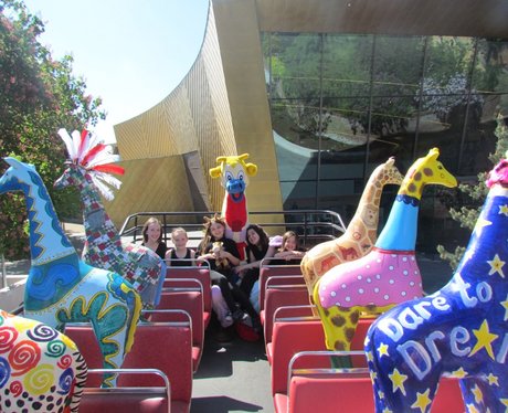Stand Tall Giraffes