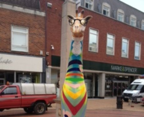 Stand Tall Giraffes