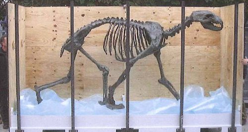 Polar bear skeleton sculpture stolen in Wiltshire