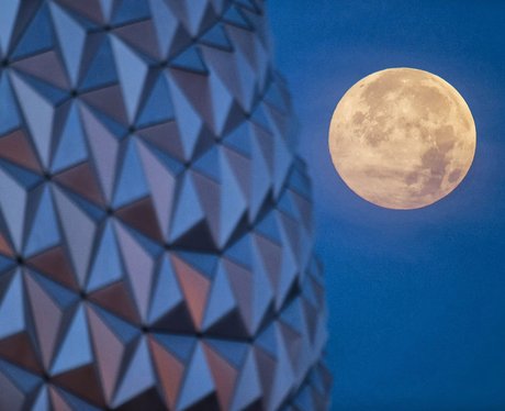 Weird And Wonderful Pictures Of The Week
