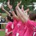 Image 6: Snapped from the stage at Coventry Race for Life