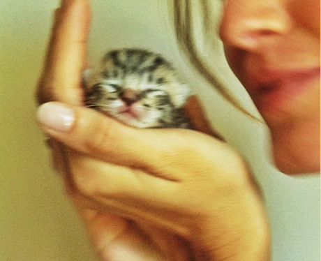 Cute Pictures Of The Week