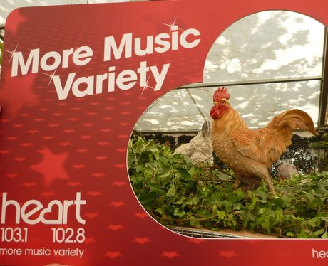 Kent County Show day 1
