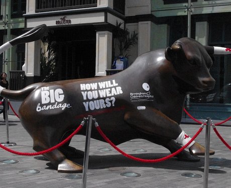 Big Bandage Campaign
