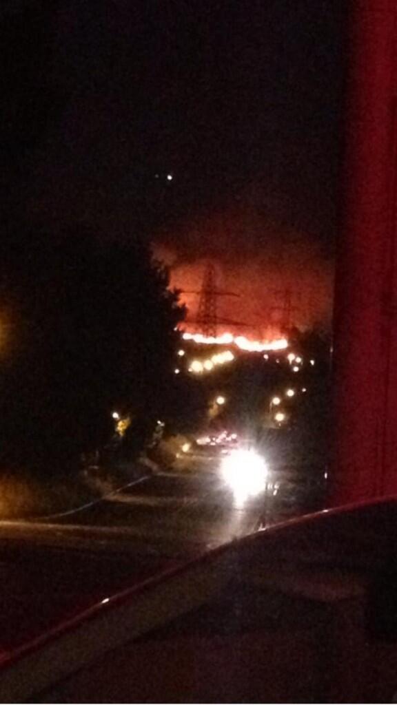 Canford Heath fire