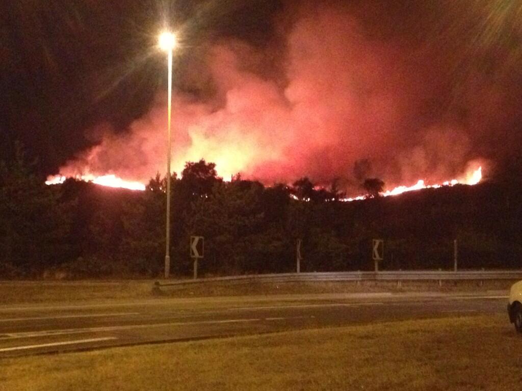 Canford Heath fire