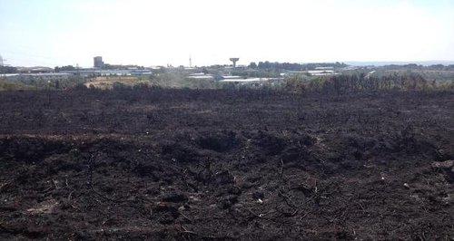 Canford Heath fire