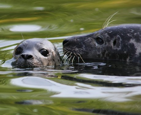 Cute Pictures Of The Week