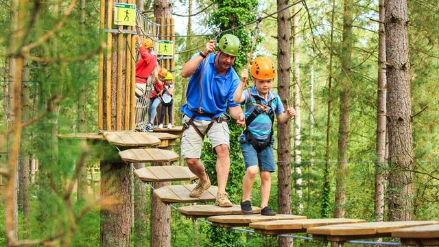 Heart South Coast: Go Ape Half Term Competition Terms & Conditions ...