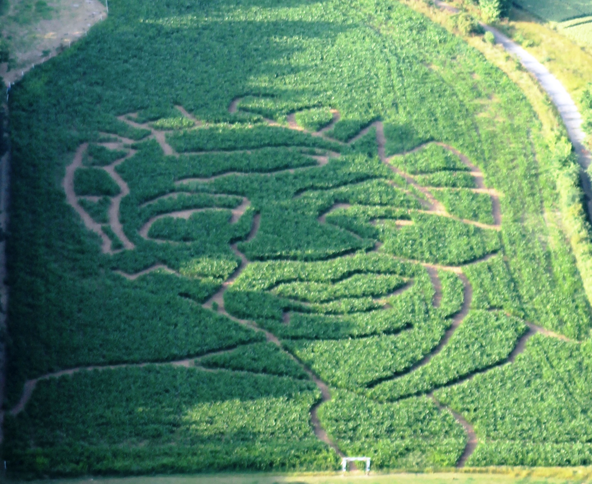 Mandela Maze, courtesy of TG Aviation