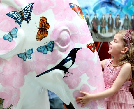 Weird And Wonderful Pictures Of The Week