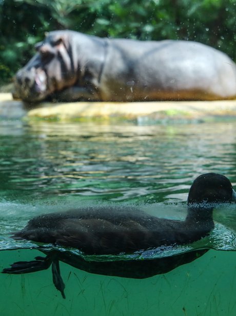 Cutest pictures of the week