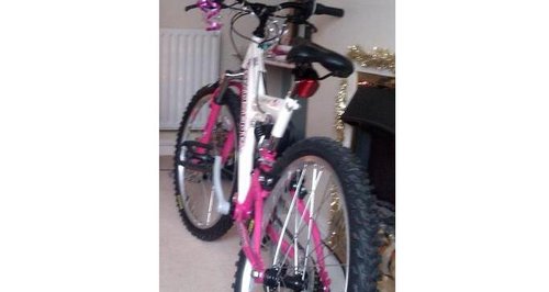 Stolen Bike