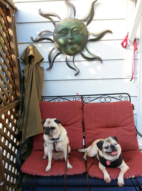 cute photos of the week