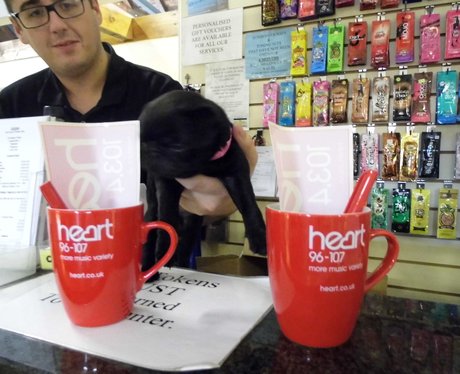 mug drops
