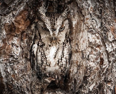 National Geographic Traveler Photo Contest