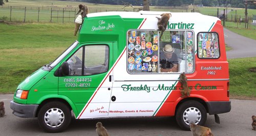 Longleat monkeys and ice cream van