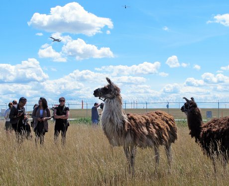 Weird And Wonderful Pictures Of The Week