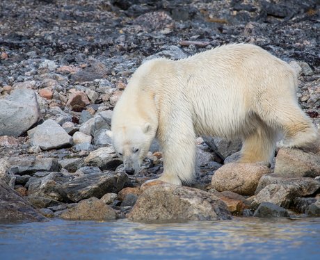 Cute Pictures Of The Week