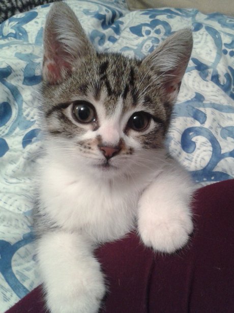 Cute Pictures Of The Week