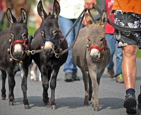 Cute Pictures Of The Week