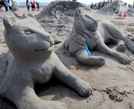 Weird And Wonderful Pictures Of The Week